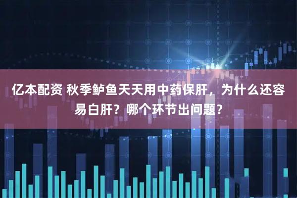 亿本配资 秋季鲈鱼天天用中药保肝，为什么还容易白肝？哪个环节出问题？