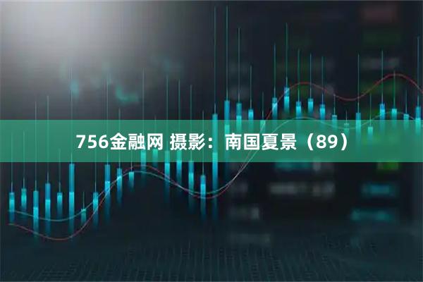 756金融网 摄影：南国夏景（89）