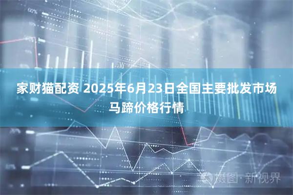 家财猫配资 2025年6月23日全国主要批发市场马蹄价格行情